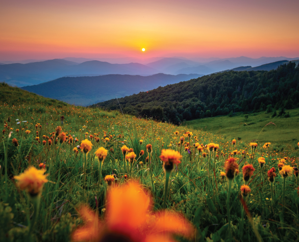 Natureza